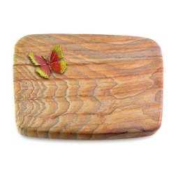 Grabkissen Linea/Rainbow Papillon 2 (Color)