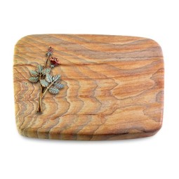 Grabkissen Linea/Rainbow Rose 5 (Color)