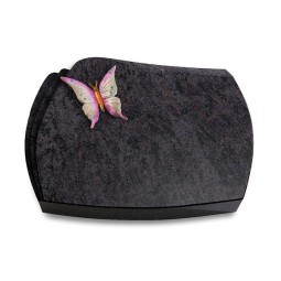 Grabkissen Paris/Orion Papillon 1 (Color)