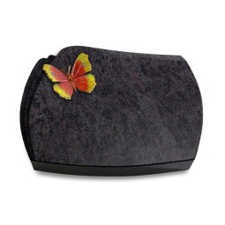 Grabkissen Paris/Orion Papillon 2 (Color)