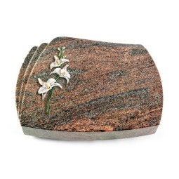 Grabkissen Paris/Paradiso Orchidee (Color)