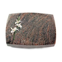 Grabkissen Roma/Himalaya Orchidee (Color)