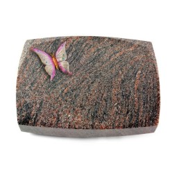 Grabkissen Roma/Himalaya Papillon 1 (Color)