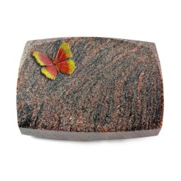 Grabkissen Roma/Himalaya Papillon 2 (Color)