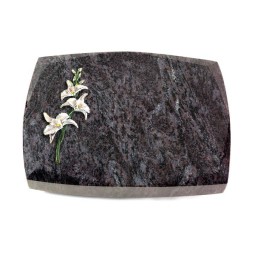 Grabkissen Roma/Orion Orchidee (Color)