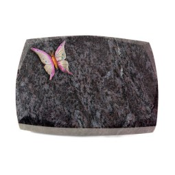 Grabkissen Roma/Orion Papillon 1 (Color)