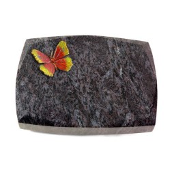 Grabkissen Roma/Orion Papillon 2 (Color)