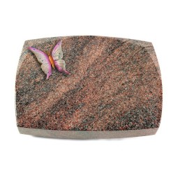 Grabkissen Roma/Paradiso Papillon 1 (Color)