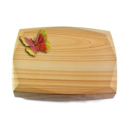 Grabkissen Roma/Woodland Papillon 2 (Color)