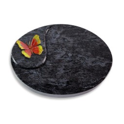 Grabkissen Yang/Orion Papillon 2 (Color)