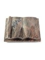 Grabbuch Antique/Himalaya Rose 5 (Alu)