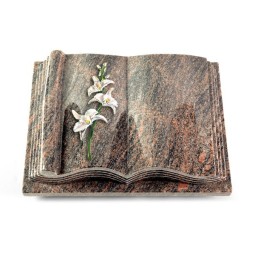 Grabbuch Antique/Himalaya Orchidee (Color)