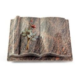 Grabbuch Antique/Himalaya Rose 5 (Color)