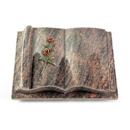 Grabbuch Antique/Himalaya Rose 6 (Color)