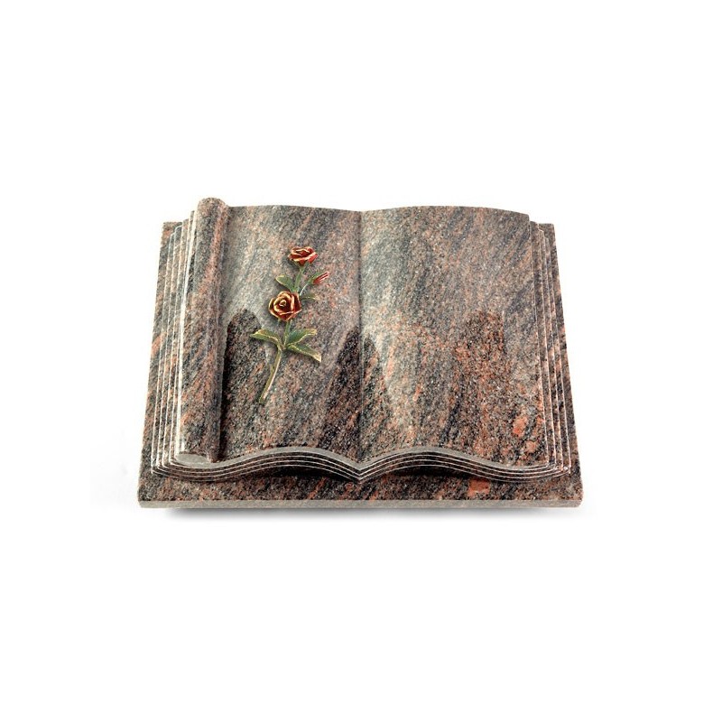 Grabbuch Antique/Himalaya Rose 6 (Color)
