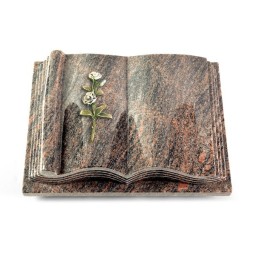 Grabbuch Antique/Himalaya Rose 8 (Color)