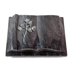 Grabbuch Antique/Orion Gingozweig 1 (Alu)