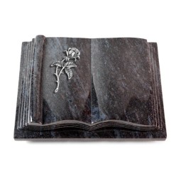 Grabbuch Antique/Orion Rose 2 (Alu)