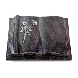 Grabbuch Antique/Orion Rose 10 (Alu)