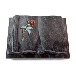 Grabbuch Antique/Orion Rose 2 (Color)