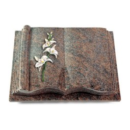 Grabbuch Antique/Paradiso Orchidee (Color)