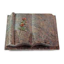 Grabbuch Antique/Paradiso Rose 6 (Color)