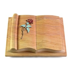 Grabbuch Antique/Rainbow Rose 2 (Color)