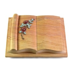 Grabbuch Antique/Rainbow Rose 3 (Color)