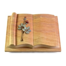 Grabbuch Antique/Rainbow Rose 5 (Color)