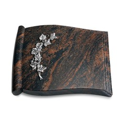 Grabbuch Biblos/Aruba Efeu (Alu)