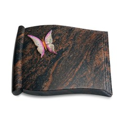 Grabbuch Biblos/Aruba Papillon 1 (Color)