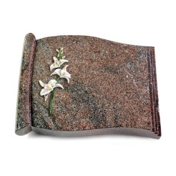 Grabbuch Biblos/Paradiso Orchidee (Color)