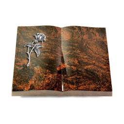 Grabbuch Livre/Aruba Rose 2 (Alu)