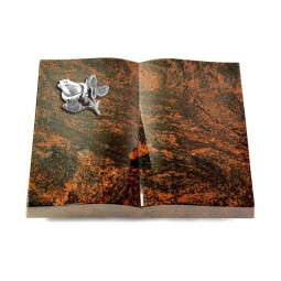 Grabbuch Livre/Aruba Rose 3 (Alu)