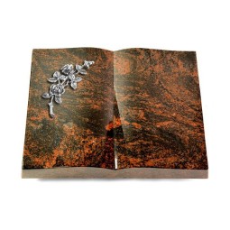 Grabbuch Livre/Aruba Rose 5 (Alu)