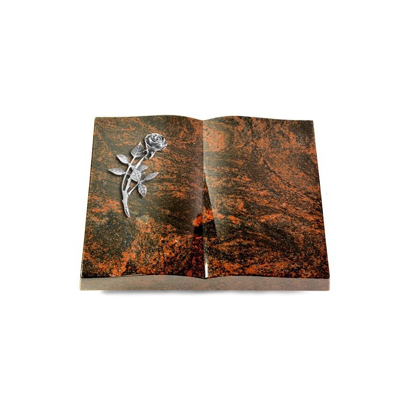 Grabbuch Livre/Aruba Rose 6 (Alu)