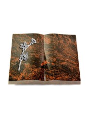 Grabbuch Livre/Aruba Rose 9 (Alu)