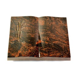 Grabbuch Livre/Aruba Ähren 1 (Bronze)