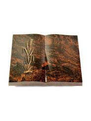 Grabbuch Livre/Aruba Ähren 2 (Bronze)