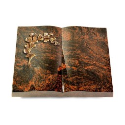 Grabbuch Livre/Aruba Gingozweig 2 (Bronze)