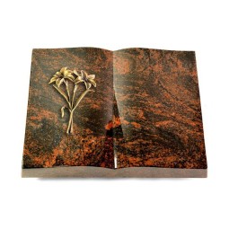 Grabbuch Livre/Aruba Lilie (Bronze)