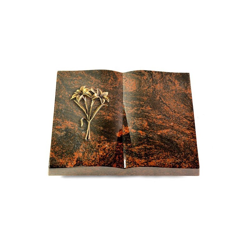 Grabbuch Livre/Aruba Lilie (Bronze)
