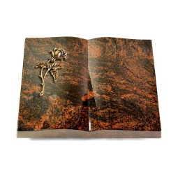 Grabbuch Livre/Aruba Rose 2 (Bronze)