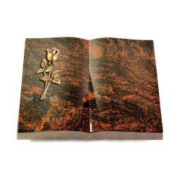 Grabbuch Livre/Aruba Rose 8 (Bronze)