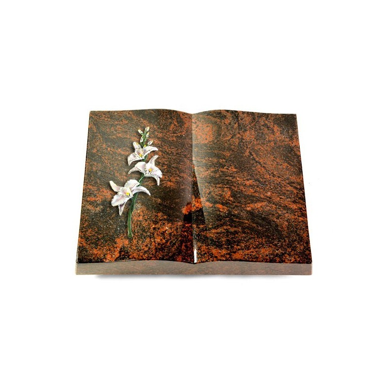Grabbuch Livre/Aruba Orchidee (Color)