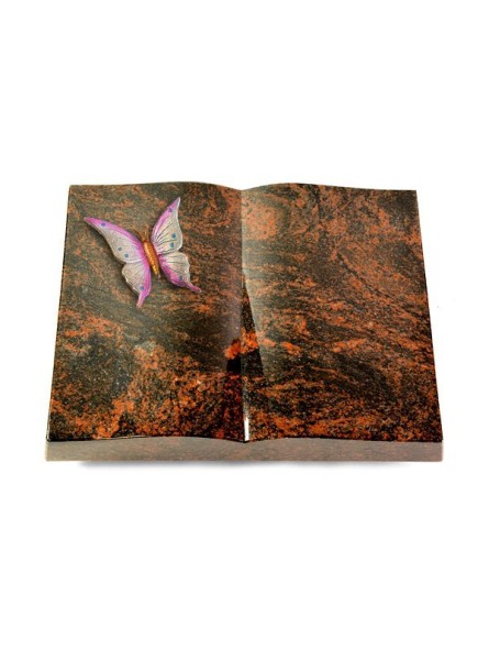 Grabbuch Livre/Aruba Papillon 1 (Color)