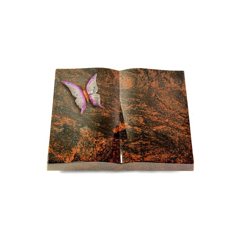 Grabbuch Livre/Aruba Papillon 1 (Color)