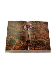 Grabbuch Livre/Aruba Rose 1 (Color)