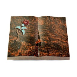 Grabbuch Livre/Aruba Rose 2 (Color)